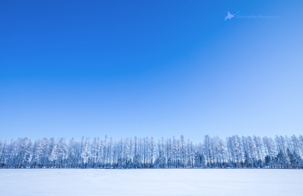 Trees-covered-in-white-rime-for-macbookpro-wallpaper