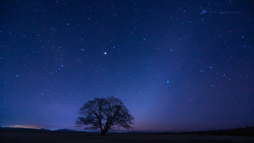 Zodiacal-light-and-elm-tree-for-imac-wallpaper