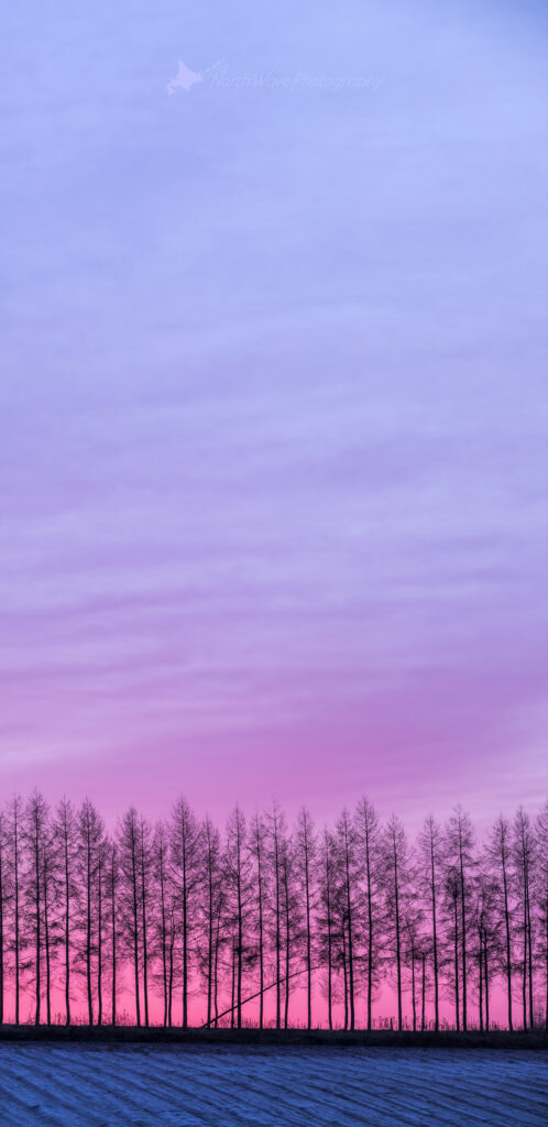 Windbreak_pink-morning-glow-for-galaxy-wallpaper