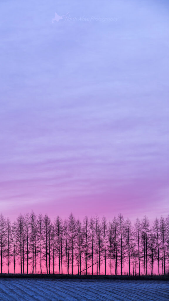 Windbreak_pink-morning-glow-for-iphone8-wallpaper