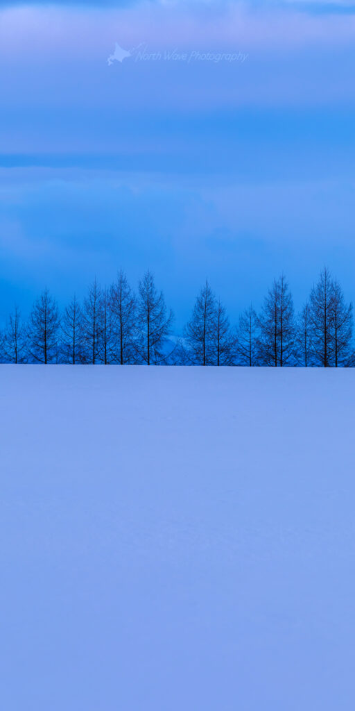 Blue-snowfield-Larch-windbreak-for-aquos-wallpaper