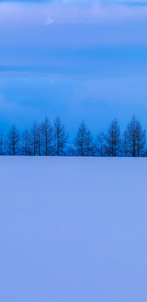 Blue-snowfield-Larch-windbreak-for-galaxy-wallpaper