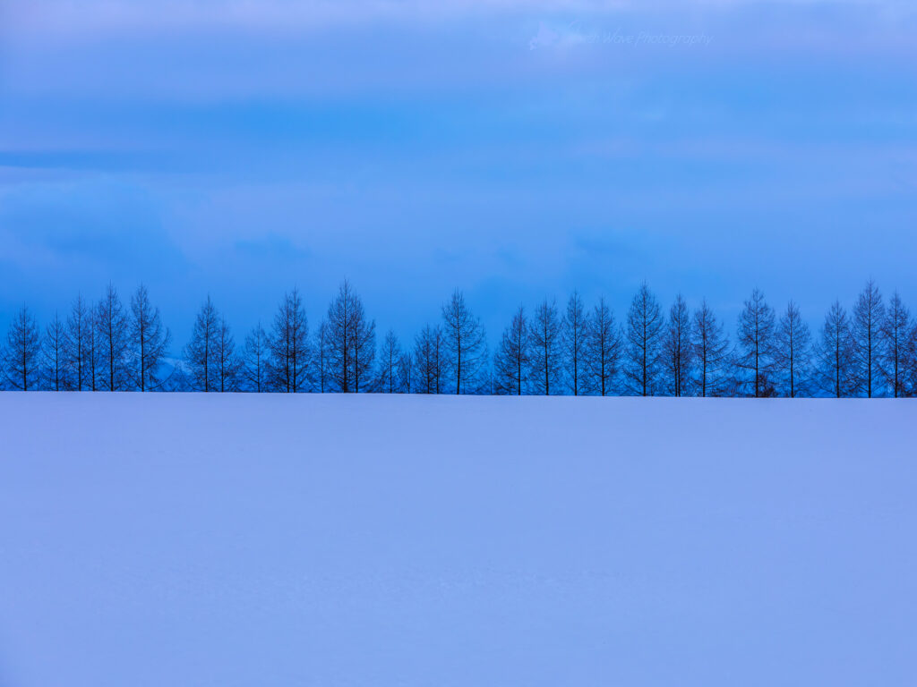 Blue-snowfield-Larch-windbreak-for-ipadpro-wallpaper