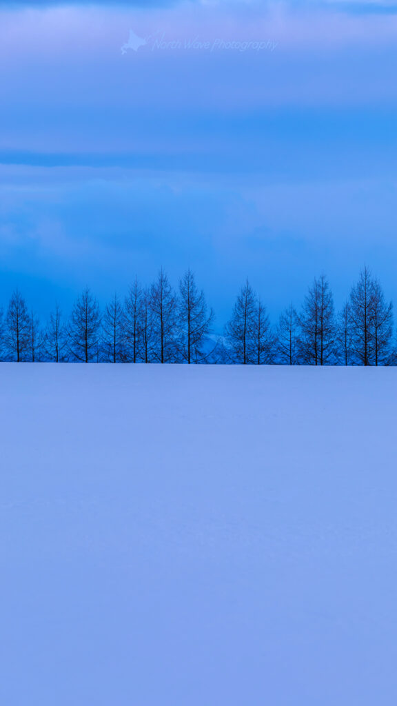 Blue-snowfield-Larch-windbreak-for-iphone8-wallpaper