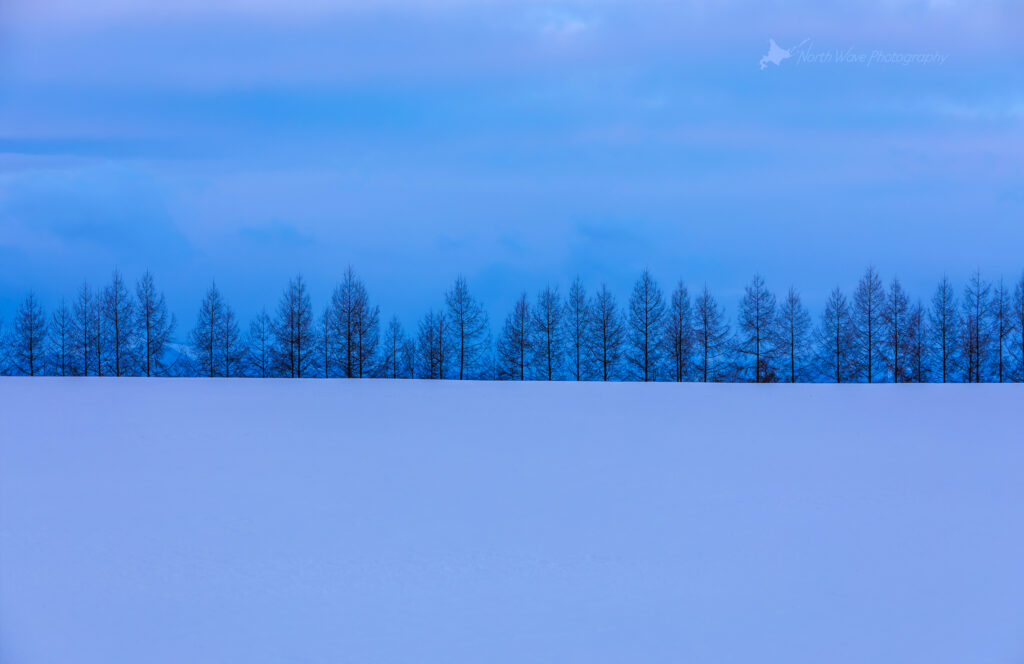 Blue-snowfield-Larch-windbreak-for-macbookpro-wallpaper