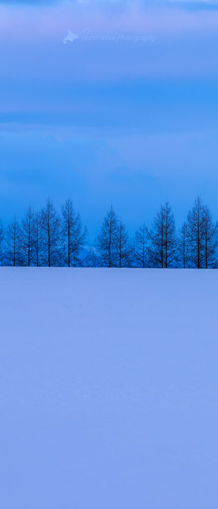 Blue-snowfield-Larch-windbreak-for-xperia-wallpaper