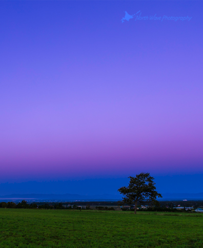 The_Belt_of_Venus_and_One_Tree_in_the_Field-for-applewatch-wallpaper