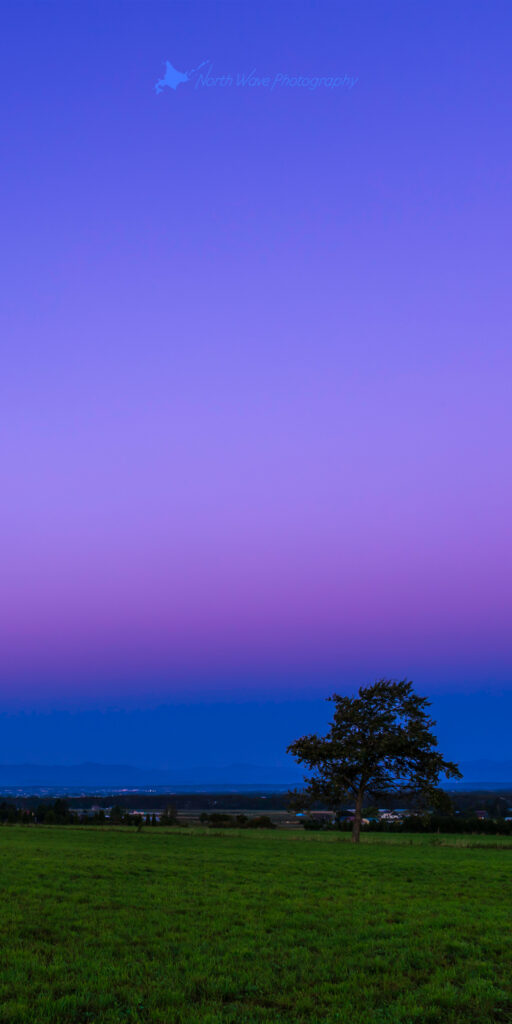The_Belt_of_Venus_and_One_Tree_in_the_Field-for-aquos-wallpaper