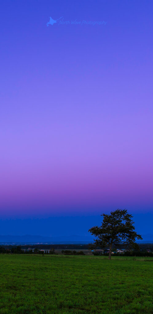 The_Belt_of_Venus_and_One_Tree_in_the_Field-for-galaxy-wallpaper