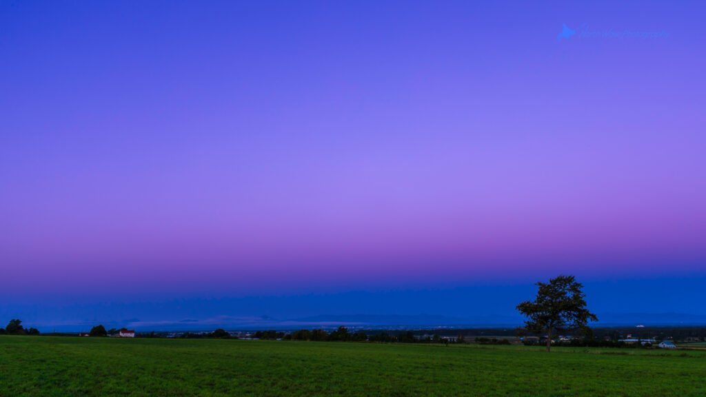 The_Belt_of_Venus_and_One_Tree_in_the_Field-for-imac-wallpaper