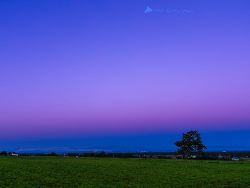 The_Belt_of_Venus_and_One_Tree_in_the_Field-for-ipadpro-wallpaper