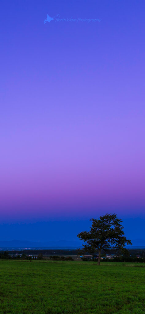 The_Belt_of_Venus_and_One_Tree_in_the_Field-for-iphone14-wallpaper