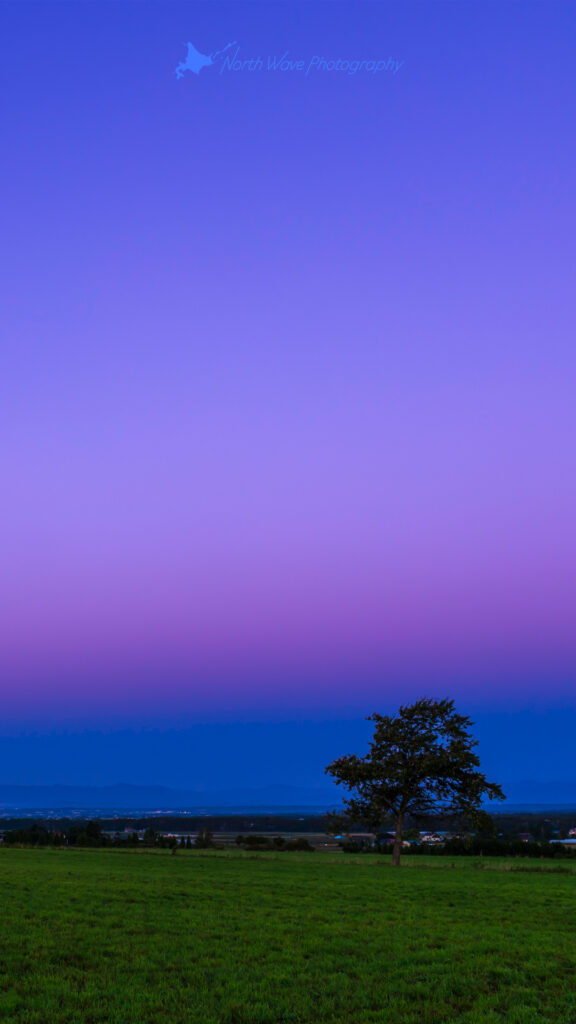 The_Belt_of_Venus_and_One_Tree_in_the_Field-for-iphone8-wallpaper