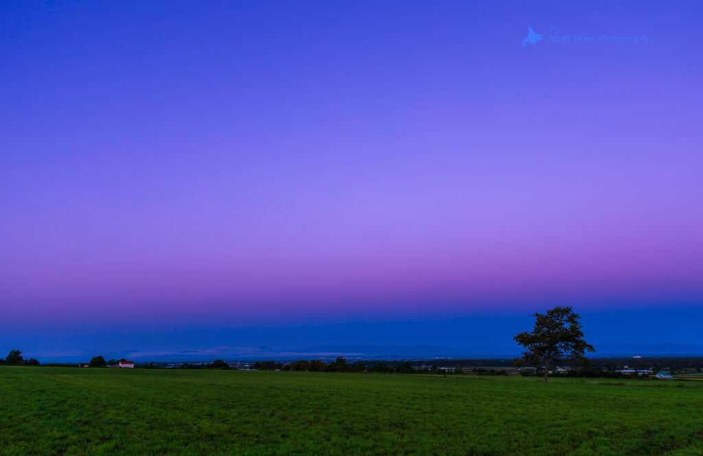 The_Belt_of_Venus_and_One_Tree_in_the_Field-for-macbookpro-wallpaper
