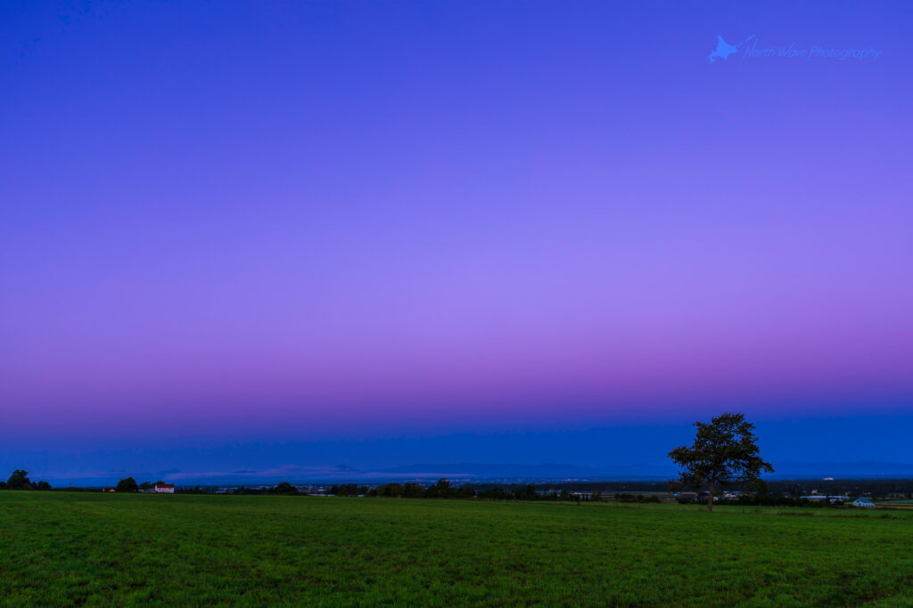 The_Belt_of_Venus_and_One_Tree_in_the_Field-for-surfaceprox-wallpaper