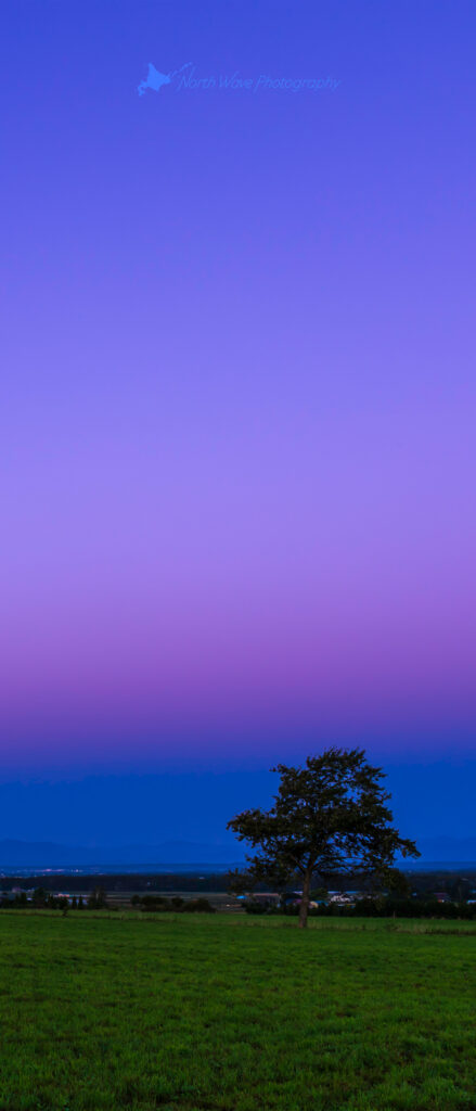 The_Belt_of_Venus_and_One_Tree_in_the_Field-for-xperia-wallpaper