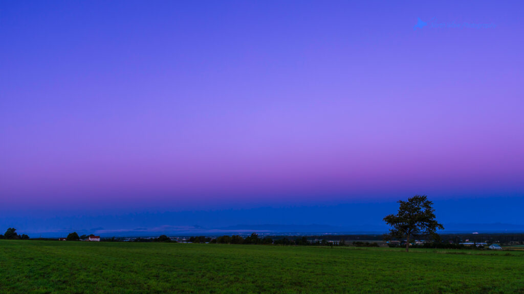 The_Belt_of_Venus_and_One_Tree_in_the_Field-for-zoom-virtual-background